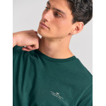 fbm012_001_04_pine_green