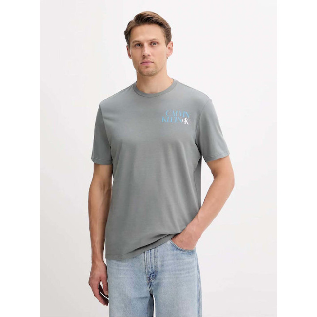 Calvin Klein Jeans ανδρικό βαμβακερό regular t-shirt γκρι LV04RC844G-RMG
