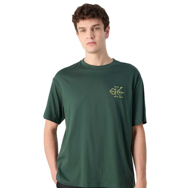 Calvin Klein Jeans ανδρικό βαμβακερό regular t-shirt πράσινο LV04RC856G-LLG