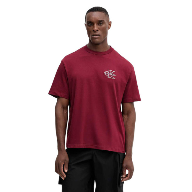 Calvin Klein Jeans ανδρικό βαμβακερό regular t-shirt κόκκινο LV04RC856G-WCV
