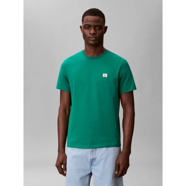 Calvin Klein Jeans ανδρικό βαμβακερό regular t-shirt πράσινο LV04RC272G-L4G Enchanted Forest