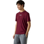 Guess ανδρικό βαμβακερό t-shirt regular fit μπορντό Z6RI00I3Z14-G4P2